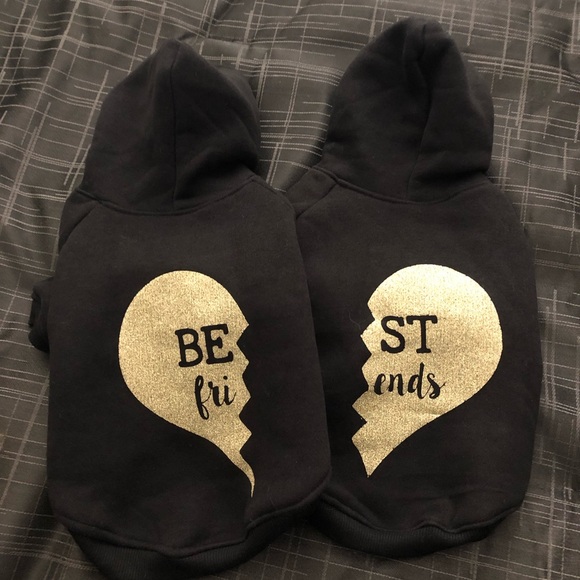 Best Friend Hoodies